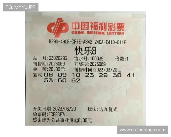资深玩家总结的彩票投注技巧与风险控制实战经验分享指南全解方法
