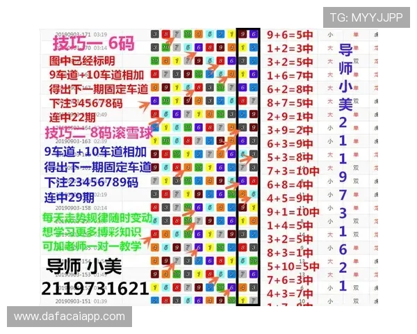 全面解析澳洲幸运10详情玩法规则技巧与精准计划实战参考指南