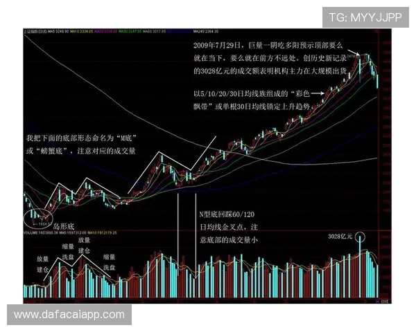 十一选五开奖号码走势解析与历史规律全面趋势分析指南 十一选五开奖号码走势解析与历史规律全面趋势分析指南