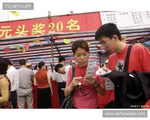 彩票选号技巧揭秘，教你科学方法提高中奖概率稳定性