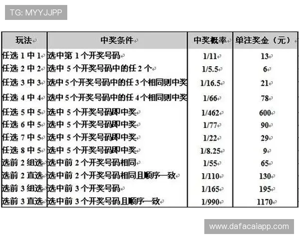 掌握十一选五投注技巧揭秘轻松提高中奖几率的方法